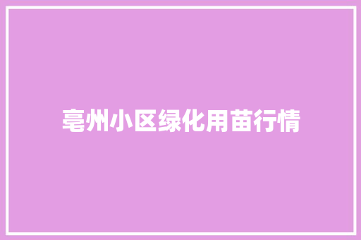 亳州小区绿化用苗行情
