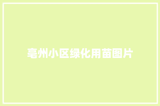 亳州小区绿化用苗图片