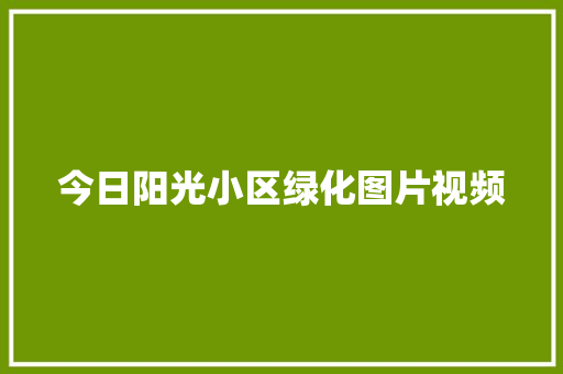 今日阳光小区绿化图片视频