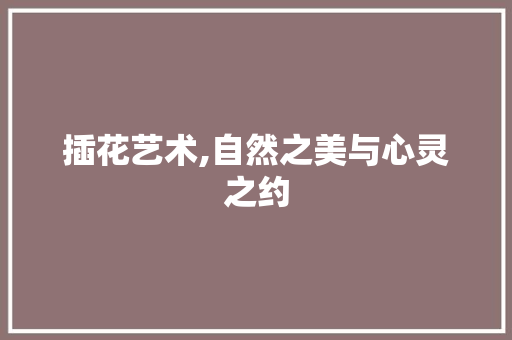插花艺术,自然之美与心灵之约