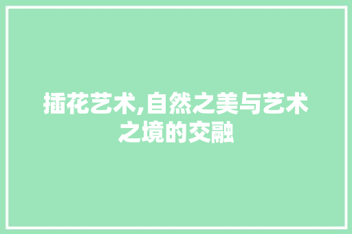 插花艺术,自然之美与艺术之境的交融