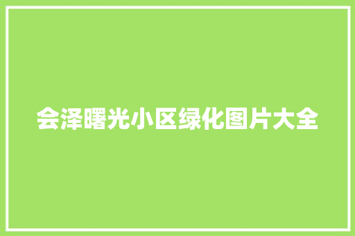 会泽曙光小区绿化图片大全