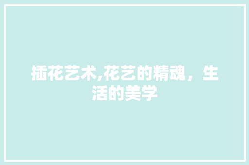 插花艺术,花艺的精魂，生活的美学