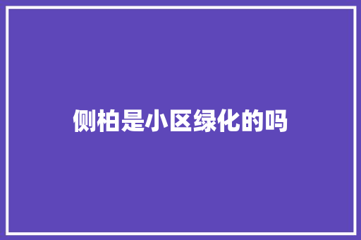侧柏是小区绿化的吗 花卉育苗