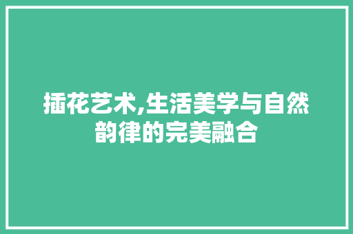插花艺术,生活美学与自然韵律的完美融合