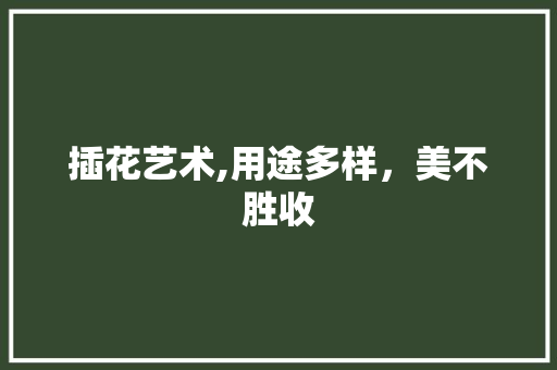 插花艺术,用途多样，美不胜收