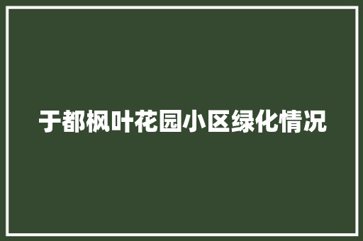 于都枫叶花园小区绿化情况