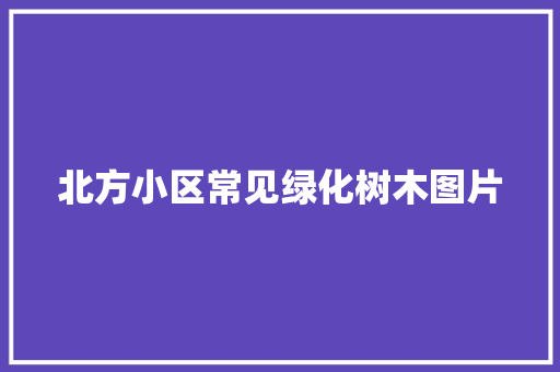 北方小区常见绿化树木图片