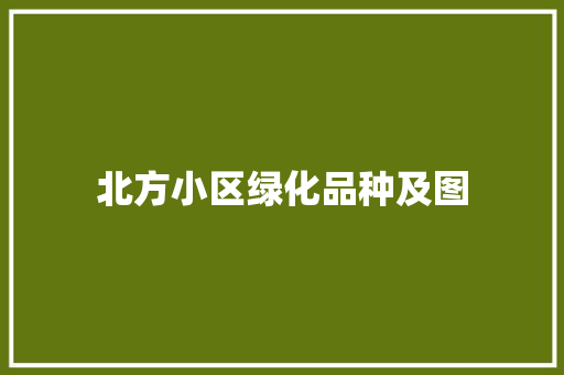 北方小区绿化品种及图