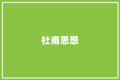 插花艺术中的飞机造型,传统技艺的现代演绎