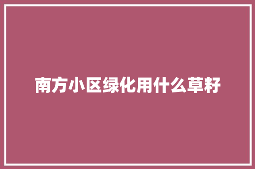 南方小区绿化用什么草籽