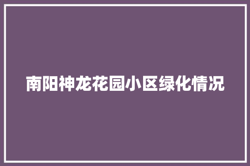南阳神龙花园小区绿化情况