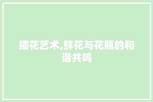 插花艺术,鲜花与花瓶的和谐共鸣