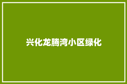 兴化龙腾湾小区绿化