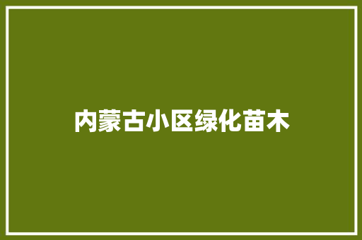 内蒙古小区绿化苗木 无土育苗