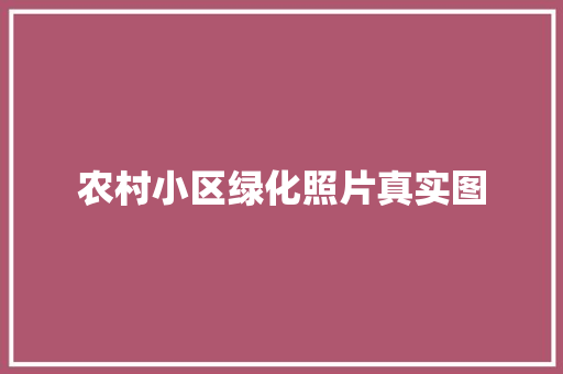 农村小区绿化照片真实图 花卉育苗
