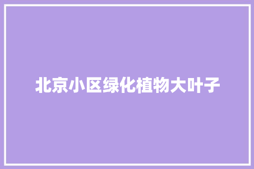 北京小区绿化植物大叶子