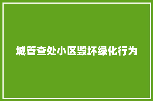 城管查处小区毁坏绿化行为
