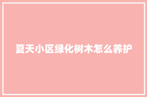 夏天小区绿化树木怎么养护