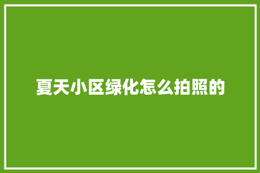 夏天小区绿化怎么拍照的