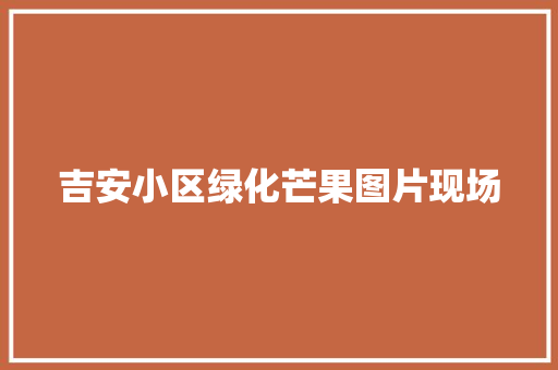 吉安小区绿化芒果图片现场
