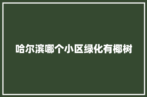 哈尔滨哪个小区绿化有椰树