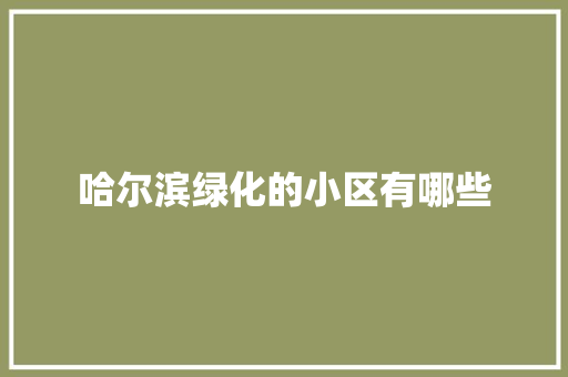 哈尔滨绿化的小区有哪些