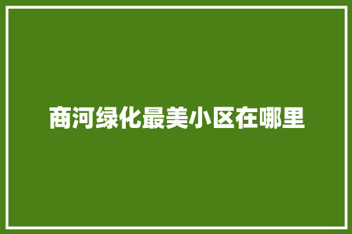 商河绿化最美小区在哪里 林木育苗