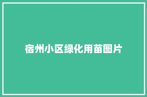 宿州小区绿化用苗图片