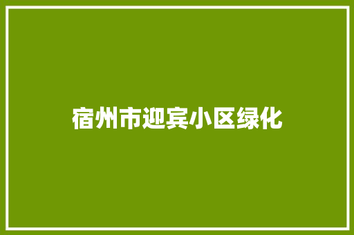 宿州市迎宾小区绿化