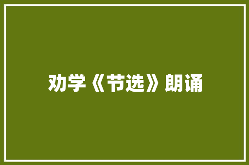 插花艺术直播,花乐生活的美好呈现