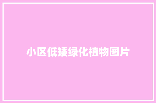 小区低矮绿化植物图片