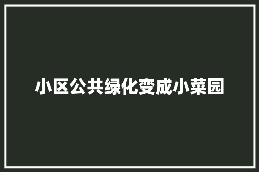 小区公共绿化变成小菜园
