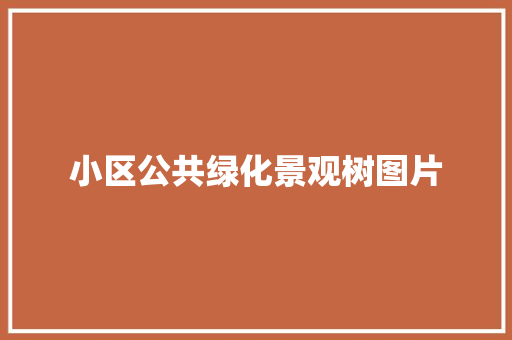 小区公共绿化景观树图片