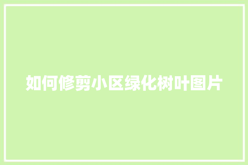 如何修剪小区绿化树叶图片