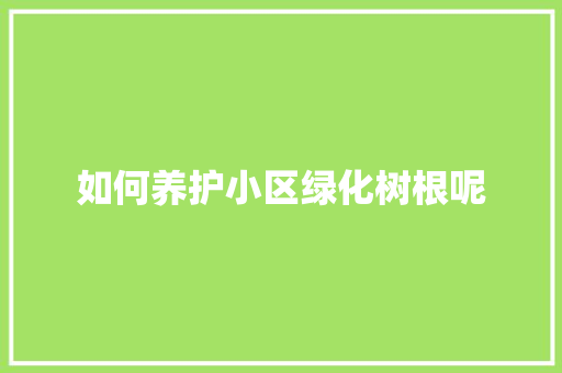 如何养护小区绿化树根呢