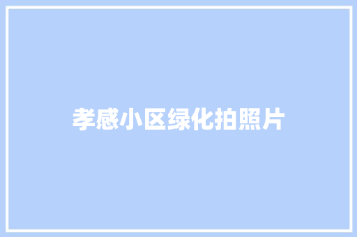 孝感小区绿化拍照片