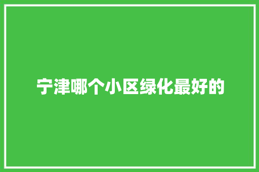 宁津哪个小区绿化最好的