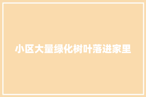 小区大量绿化树叶落进家里 嫁接育苗