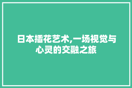 日本插花艺术,一场视觉与心灵的交融之旅