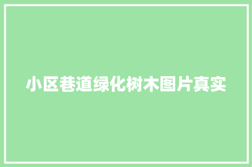 小区巷道绿化树木图片真实