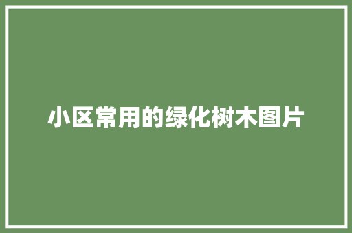 小区常用的绿化树木图片