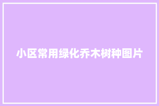 小区常用绿化乔木树种图片