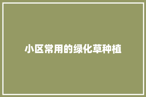 小区常用的绿化草种植