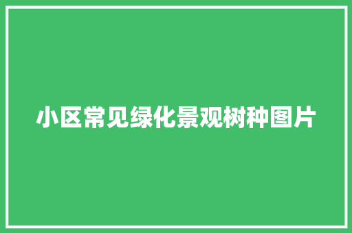 小区常见绿化景观树种图片