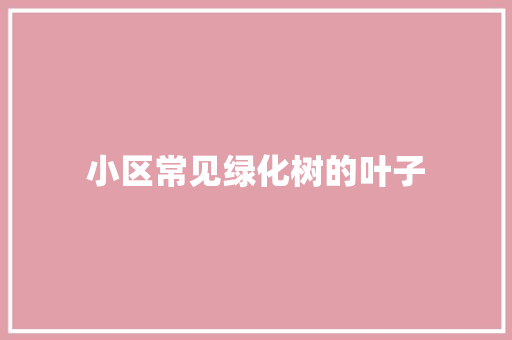 小区常见绿化树的叶子