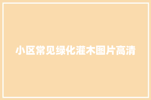 小区常见绿化灌木图片高清
