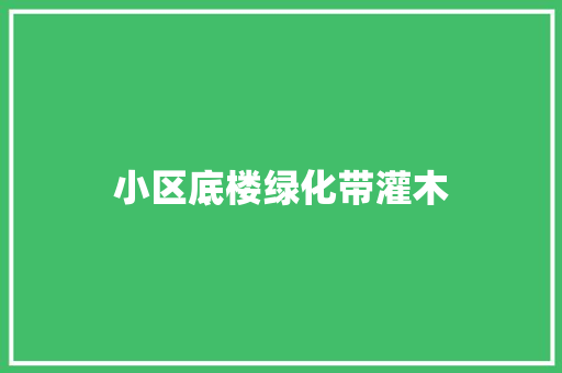 小区底楼绿化带灌木