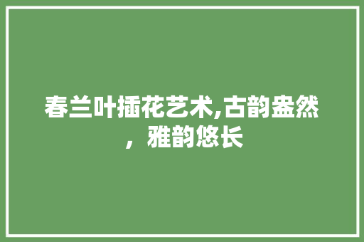 春兰叶插花艺术,古韵盎然，雅韵悠长