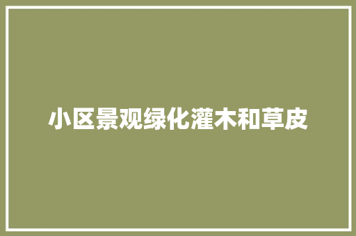 小区景观绿化灌木和草皮